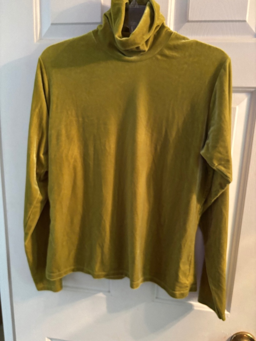 Lord & Taylor Green Turtleneck Size M